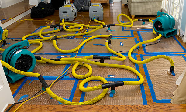 Professional Crawl Space Water Removal technician working in Brownsboro, AL